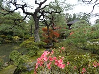Park, Garten, Natur, Japan, japan mit kindern